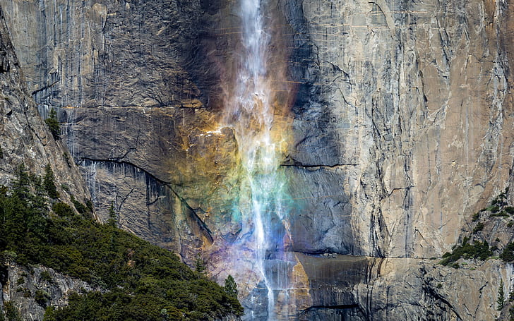 nature, Parc national de Yosemite, Fond d'écran HD