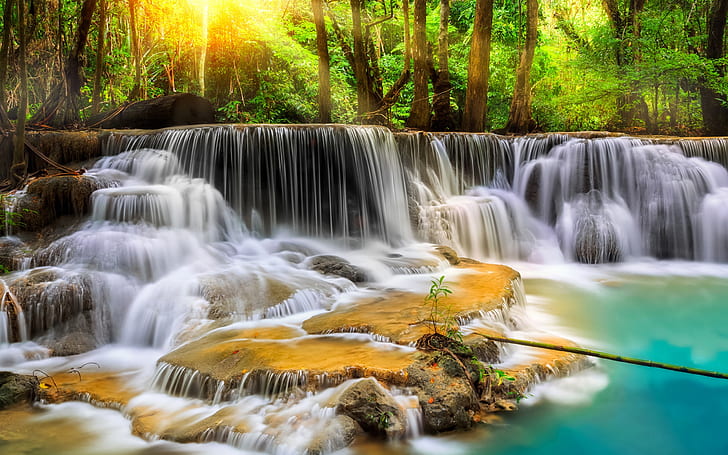 Thailand, forest, trees, waterfalls, stream, Thailand, Forest, Trees, Waterfalls, Stream, HD wallpaper