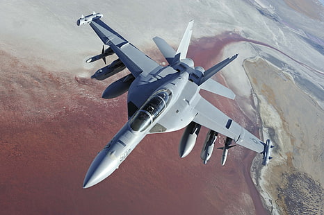 avión gris, paisaje, altura, el avión, Boeing, pilotos, cubierta, EA-18G Growler, US NAVY, guerra electrónica, Fondo de pantalla HD HD wallpaper