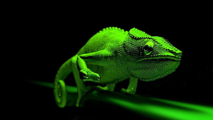 reptile, chameleon, green, 3d, lizard, digital art, computer graphics, fauna, close up, graphics, macro, HD wallpaper