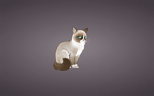 siamese cat illustration, grumpy cat, meme, cat, HD wallpaper HD wallpaper