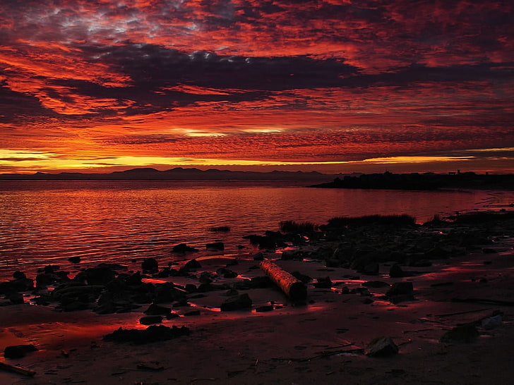peinture abstraite rouge et noir, paysage, coucher de soleil, plage, ciel, nature, mer, nuages, soleil, Fond d'écran HD