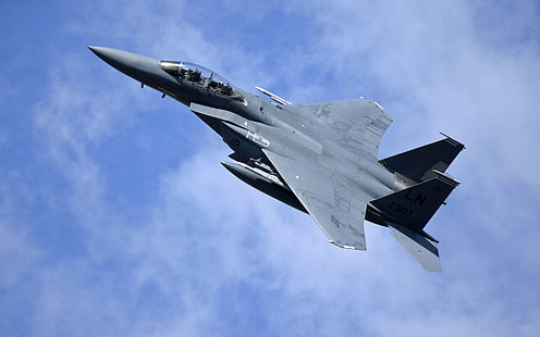 McDonnell Douglas F-15 Eagle, aereo militare, aereo, caccia jet, US Air Force, Sfondo HD HD wallpaper