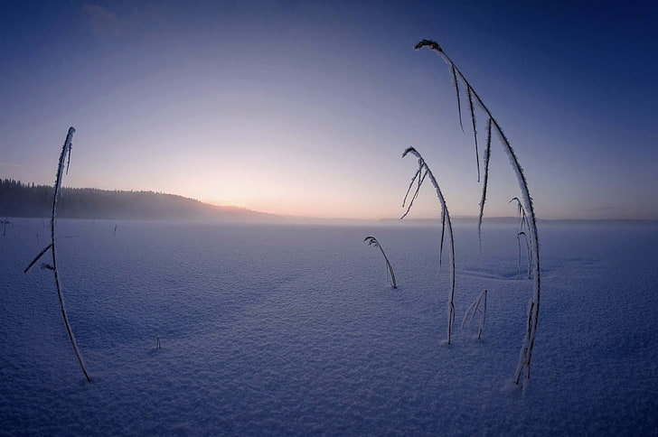 ฤดูหนาวหิมะน้ำแข็งเย็นธรรมชาติ, วอลล์เปเปอร์ HD