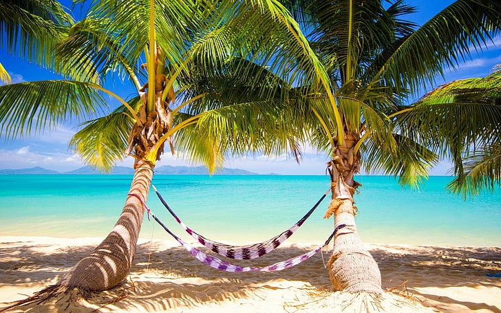 two white, brown, and purple striped hammocks, tropics, sand, beach, ocean, palm trees, hammocks, HD wallpaper