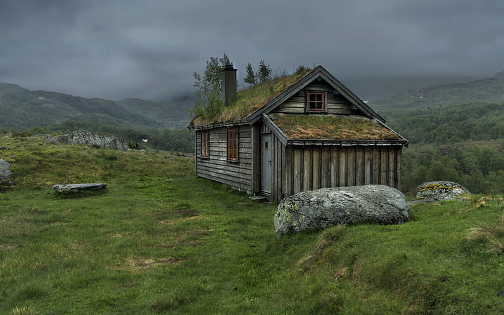 casa de madera marrón y blanca, naturaleza, hierba, niebla, roca, choza, Fondo de pantalla HD