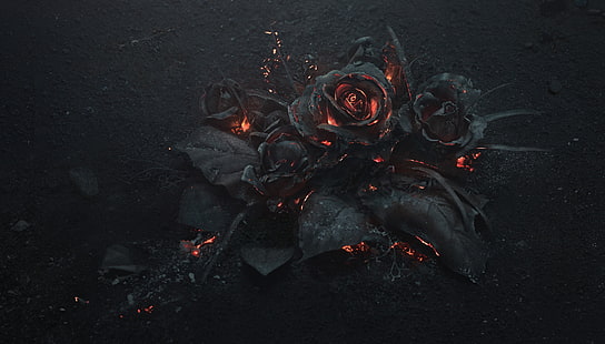 abu, batu bara, seni, mawar hitam, terbakar, Arsthanea, Wallpaper HD HD wallpaper