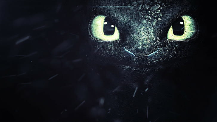 toothless from how to train your dragon, How to Train Your Dragon 2, Toothless, movies, HD wallpaper