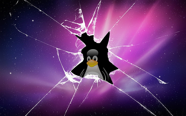 Logo Linux, Linux, komputer, Tux, Wallpaper HD