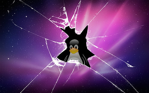 Logotipo de Linux, Linux, computadora, Tux, Fondo de pantalla HD HD wallpaper