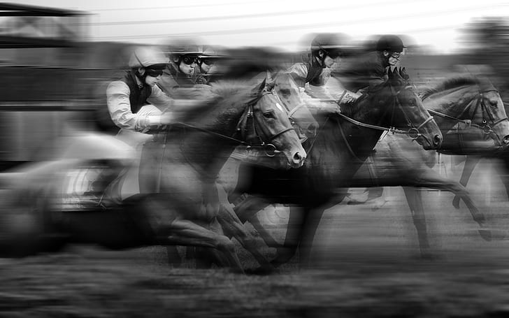 Лошадь жокей BW Motion Blur Race HD, животные, чб, гонки, размытие, движение, лошадь, жокей, HD обои