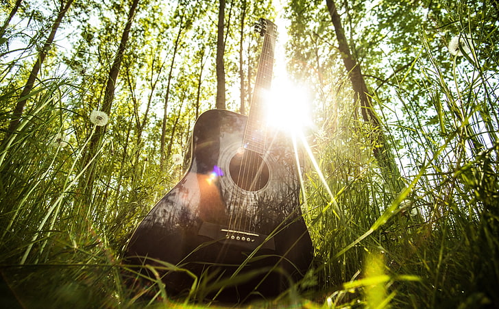 Acoustic Guitar, black acoustic guitar, Seasons, Spring, Guitar, Musical, Music, Grass, Forest, Outdoor, Sunlight, bokeh, instrument, Acoustic, HD wallpaper