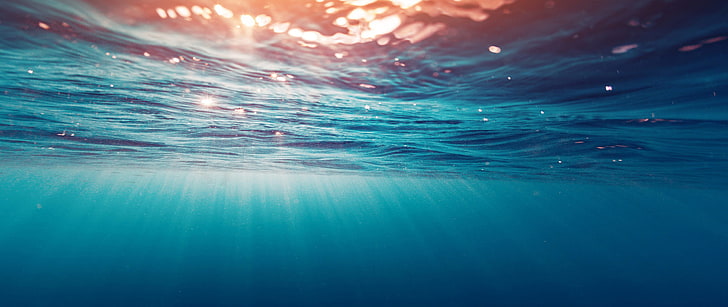 fotografi bawah laut, ultra-lebar, fotografi, alam, Wallpaper HD