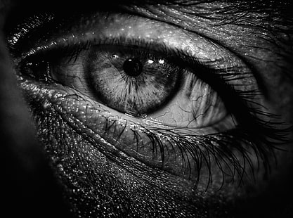 아르메니아, 햄릿, 눈의 회색조 사진, 흑백, 어두운, 매크로, 눈, HD 배경 화면 HD wallpaper