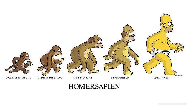 Ilustracja Homersapien, The Simpsons, Homer Simpson, humor, ewolucja, Tapety HD