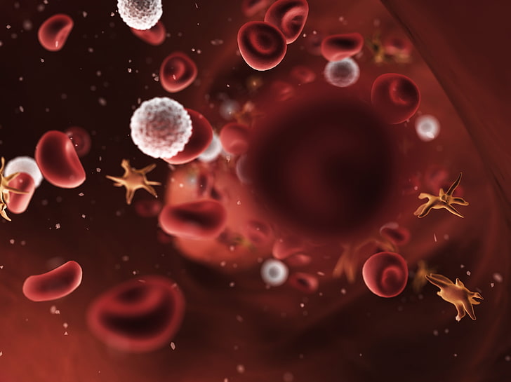 خلفية رقمية لخلايا الدم ، دم ، بكتيريا ، وعاء ، شريان، خلفية HD