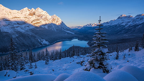 езеро, Алберта, Канада, пейто езеро, национален парк, сутрин, масив, канадски скалисти планини, изглед, дърво, зима, замръзване, пустиня, небе, планина, планинска верига, природа, национален парк Банф, сняг, HD тапет HD wallpaper