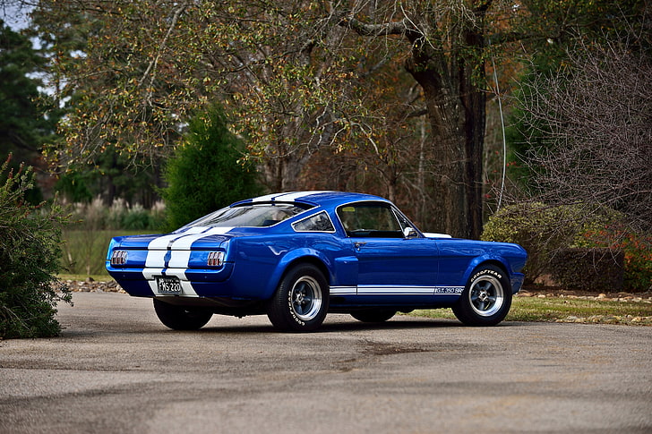 1966, klasyczny, fastback, ford, gt500sr, muscle, mustang, stary, shelby, usa, Tapety HD