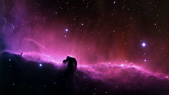 dark nebula, hd, horsehead nebula, space, stars, universe, HD wallpaper HD wallpaper