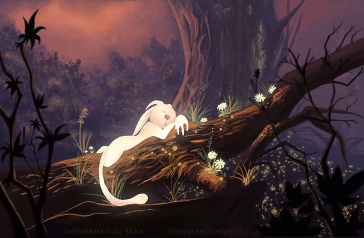 video games, Ori and the Blind Forest, HD wallpaper