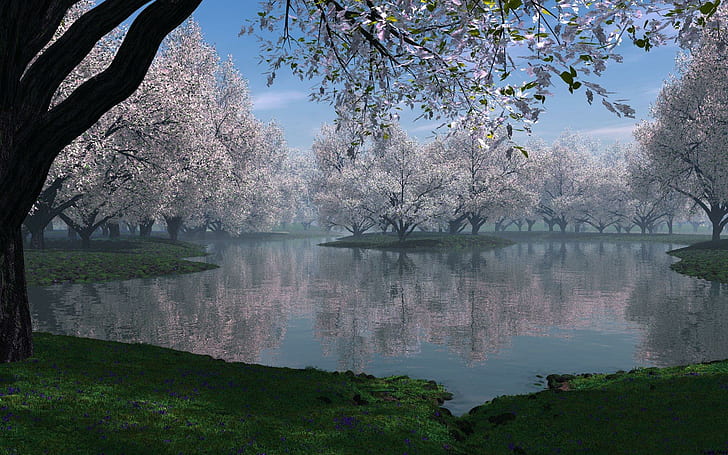 Frühlingsjahreszeit, Frühling, Jahreszeit, 3d und Auszug, HD-Hintergrundbild