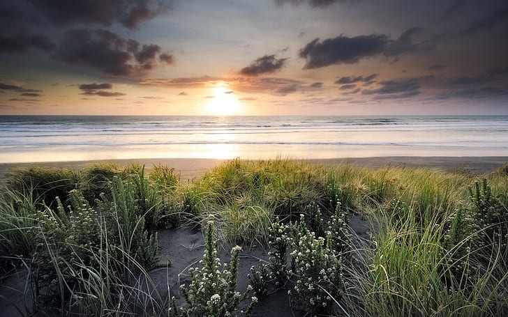 Sunset beach landscape, Sunset, Sea, beach, landscape, s, Best s, Fondo de pantalla HD
