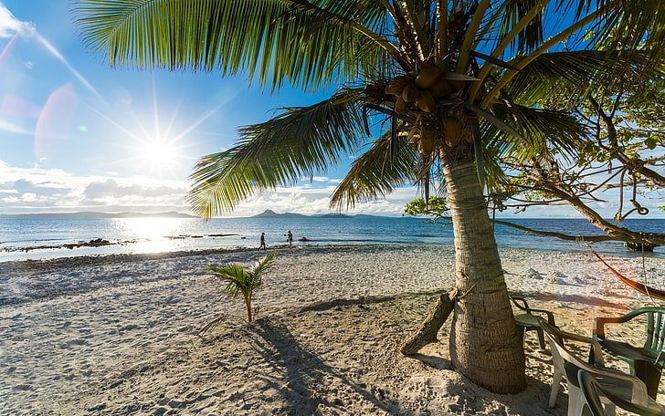 кокосово дърво, природа, пейзаж, палми, плаж, пясък, море, слънчеви лъчи, лято, тропически, облаци, остров, HD тапет