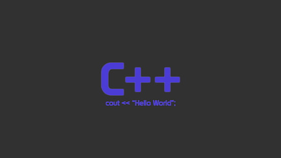 코드, 웹 개발, 개발, C 플러스 플러스, HD 배경 화면 HD wallpaper
