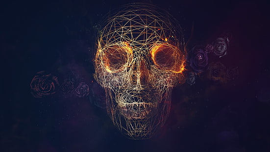 brown and black skull illustration, wireframe, skull, rose, abstract, digital art, HD wallpaper HD wallpaper