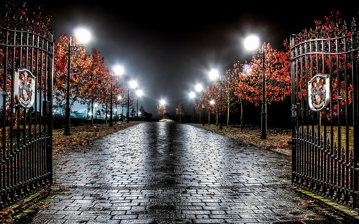 gates, trees, leaves, artificial lights, road, HD wallpaper