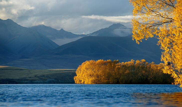 黄色の木の写真、テカポ湖、テカポ湖、秋、テカポ湖、NZ、青、水域、黄色、木、写真、色、パブリックドメイン、献身、CC0、ジオタグ付き、写真、自然と青い水、山、風景、風景、屋外、 HDデスクトップの壁紙