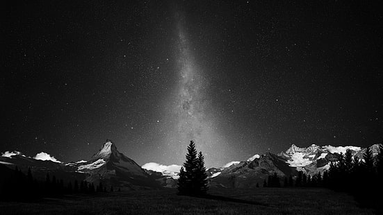 Млечен път фотография, монохромен, гора, Млечен път, галактика, нощ, космическо изкуство, звезди, природа, HD тапет HD wallpaper
