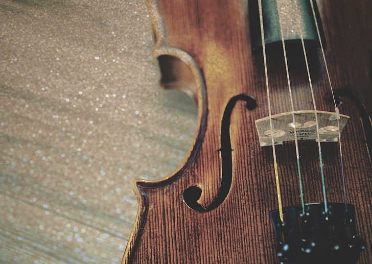 brown violin, violin, strings, wooden, HD wallpaper