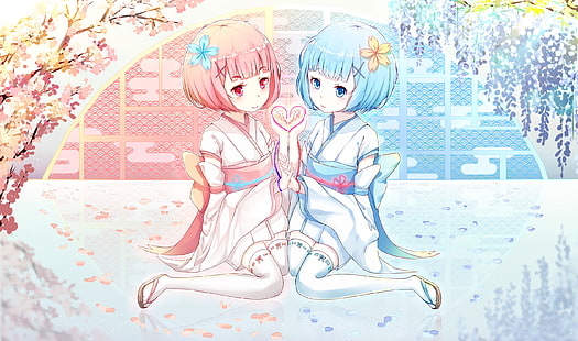 двух розовых и синих волосатых аниме-персонажей женского пола, Ram, Rem, ReZero, HD, HD обои HD wallpaper