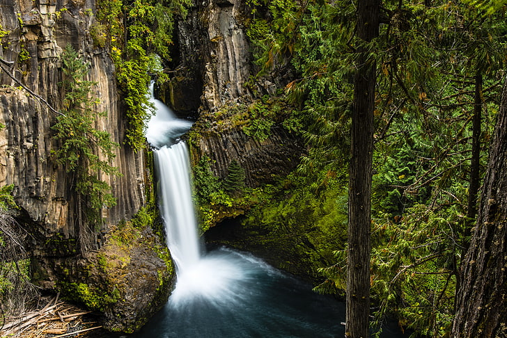 пейзажна снимка на водопад, природа, водопад, продължителна експозиция, гора, дървета, водопад Токети, Орегон, САЩ, HD тапет