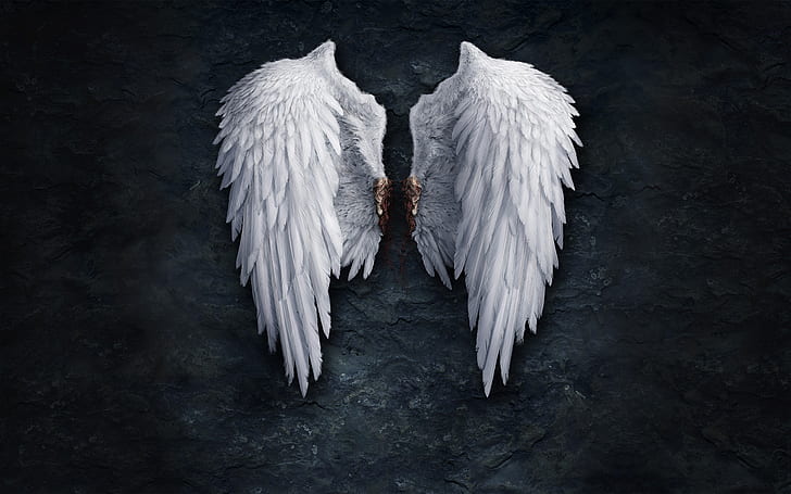 Aion, angels, blood, Stones, wings, HD wallpaper