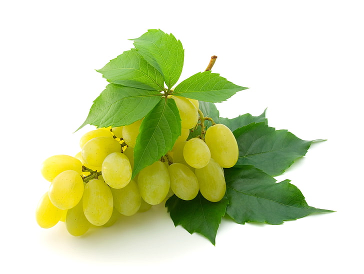 green grape fruit, grapes, brush, white background, leaves, HD wallpaper