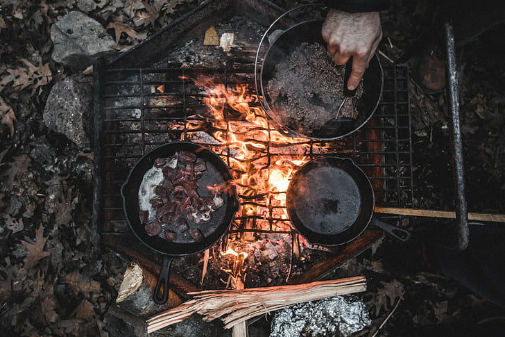 meat, fire, wood, nature, food, camping, HD wallpaper