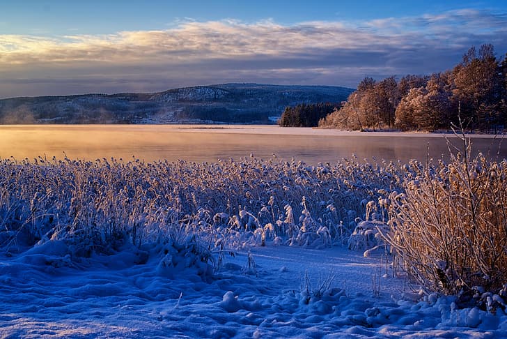 winter, snow, mountains, river, reed, Sweden, Река Онгерманэльвен, Angerman River, Клокестранд, Klockestrand, HD wallpaper