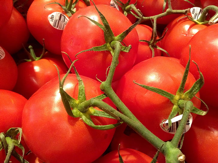 czerwone pomidory, pomidory, pomidory w winorośli, czerwone, pomidor, warzywo, żywność, świeżość, organiczne, dojrzałe, wegetariańskie, zdrowe odżywianie, Tapety HD