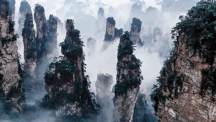 Zhangjiajie National Forest Park, China, cliffs, mountains, fog,  Zhangjiajie, HD wallpaper | Wallpaperbetter