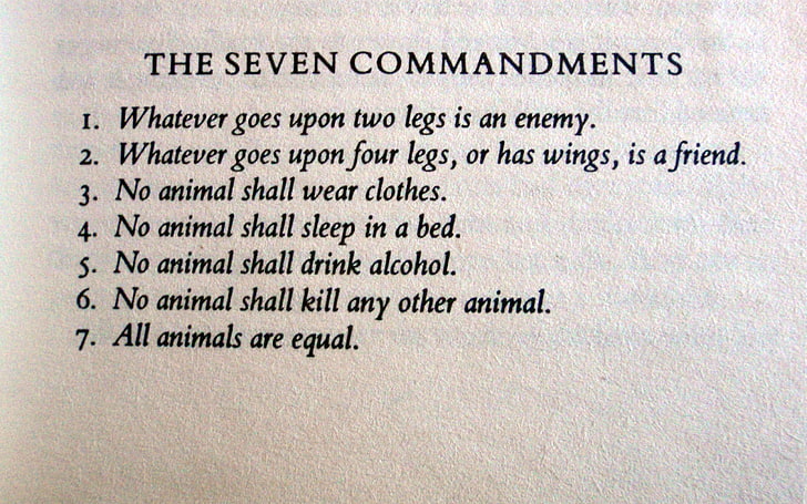 commandments, george, orwell, quotes, HD wallpaper
