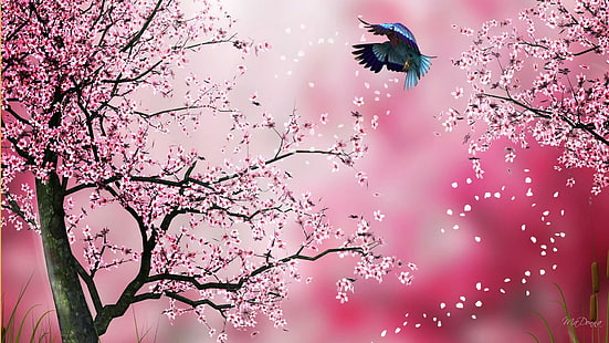 Sakura Pink, blue teal and red bird and pink cherry blossoms illustration, firefox persona, cherry, oriental, pink, flowers, blossoms, spring, abstract, japanese, 3d and abstract, HD wallpaper HD wallpaper