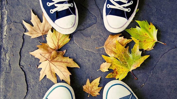 par de zapatillas Converse en blanco y negro, pies, zapatillas, hojas, otoño, Fondo de pantalla HD