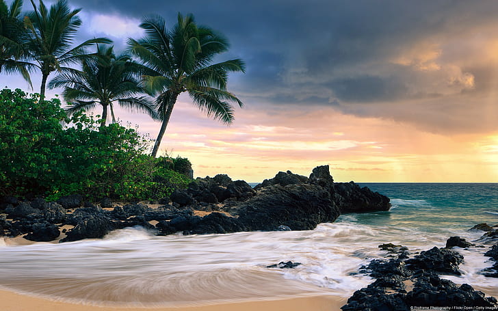 природа, пейзаж, пляж, пальмы, HD обои