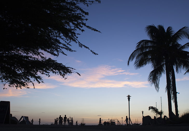 krajobraz, zachód słońca, chmury, podświetlenie, palmy, Tapety HD