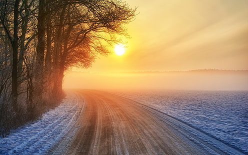 Sunset, road, winter, trees, warm sun, brown trees, Sunset, Road, Winter, Trees, Warm, Sun, HD wallpaper HD wallpaper