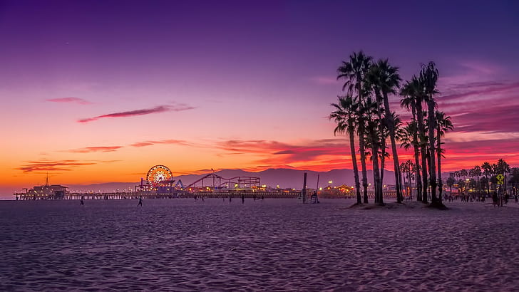 Los Angeles, palm trees, beach, HD wallpaper