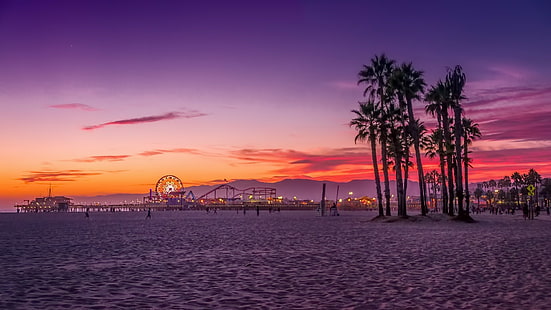로스 앤젤레스, 야자수, 해변, HD 배경 화면 HD wallpaper