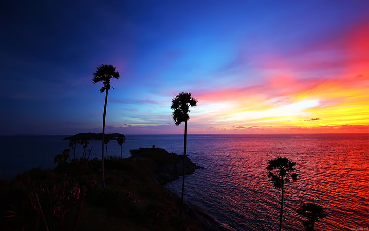 palm trees, island, sunset, palm trees, landscape, sea, silhouette, sky, sunlight, horizon, nature, HD wallpaper